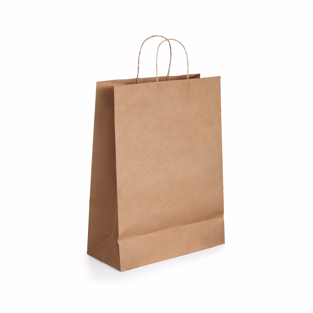 Tayla Paper Kraft Bag — custom branded bag